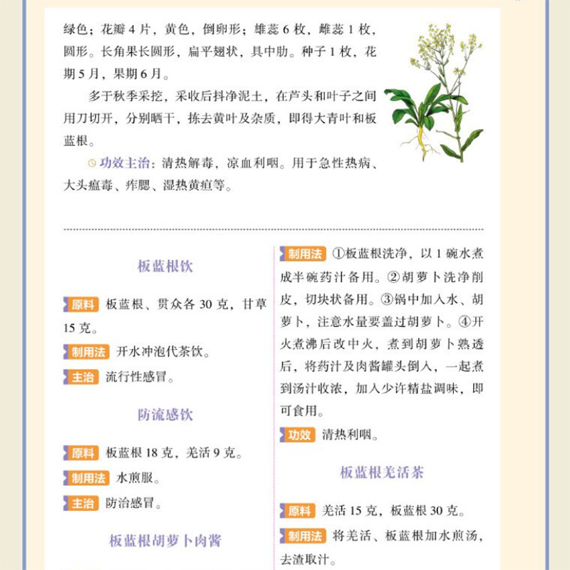 Single Herb TCM Nourishment Qu - Herbal Holistic Wellness 评论和价格