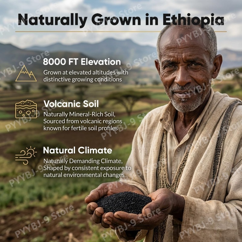 Ethiopian Black Seed Oil Softg - Herbal Wellness 评论和价格